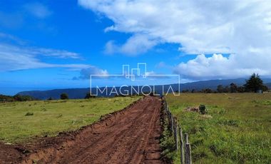Sitio en Venta en SECTOR LOS PELLINES, VALDIVIA