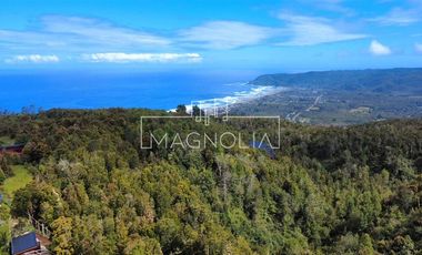 Sitio en Venta en SECTOR LOS PELLINES, VALDIVIA
