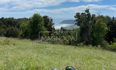 Sitio en Venta en SECTOR LOS PELLINES, VALDIVIA