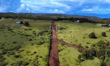 Sitio en Venta en SECTOR LOS PELLINES, VALDIVIA