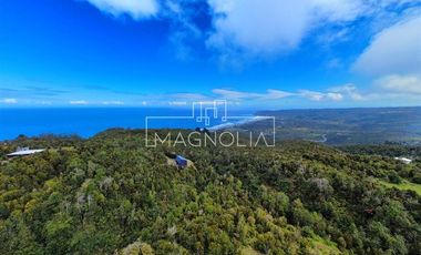 Sitio en Venta en SECTOR LOS PELLINES, VALDIVIA