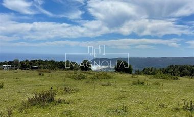Sitio en Venta en SECTOR LOS PELLINES, VALDIVIA