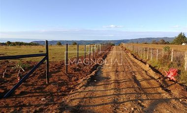 Sitio en Venta en SECTOR LOS PELLINES, VALDIVIA