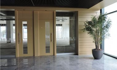 Oficina en consolidado sector Empresarial