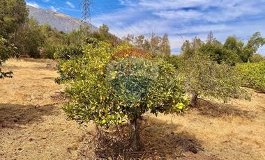 Parcela condominio Sta Sofìa Lo Cañas