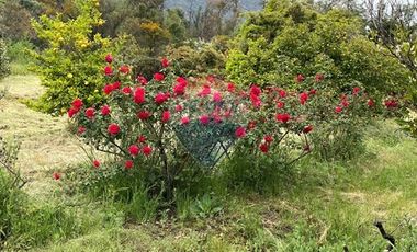 Parcela condominio Sta Sofìa Lo Cañas