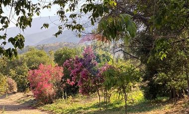 Parcela condominio Sta Sofìa Lo Cañas