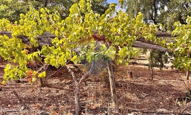 Parcela condominio Sta Sofìa Lo Cañas