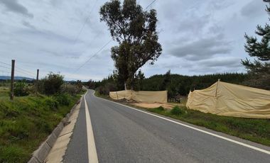 Parcela de 5200 m2 en Cauquenes