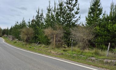 Parcela de 5200 m2 en Cauquenes
