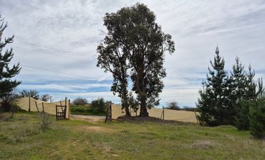 Parcela de 5200 m2 en Cauquenes