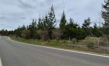 Parcela de 5200 m2 en Cauquenes