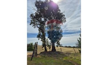 Parcela de 5200 m2 en Cauquenes