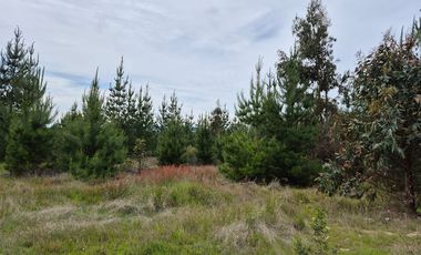 Parcela de 5200 m2 en Cauquenes