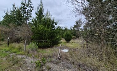 Parcela de 5200 m2 en Cauquenes
