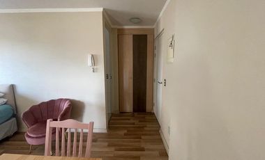 Venta Impecable Departamento Centro Lagos