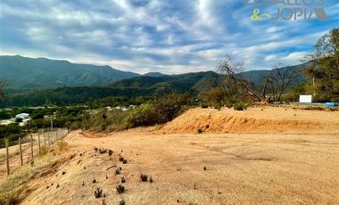 Parcela en Venta en Sector los coligues
