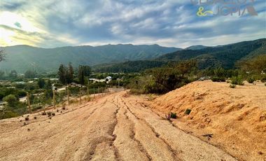 Parcela en Venta en Sector los coligues