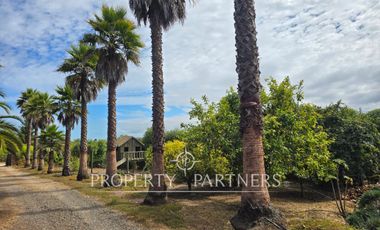 Casa en parcela sector la Princesa