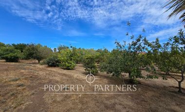 Casa en parcela sector la Princesa