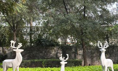 Departamentos en Renta en San Jerónimo