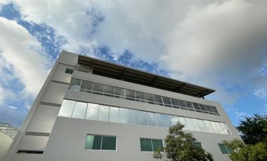 Espacios en renta para oficina, consultorio o escuela – Av. Francisco Villa.