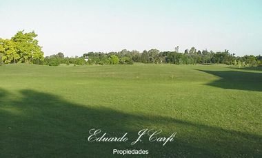 Departamento - Los Pinguinos