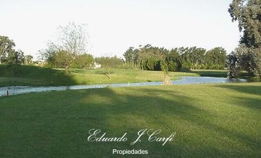 Departamento - Los Pinguinos