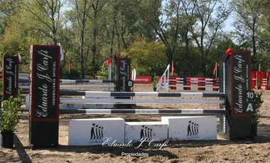 Departamento - Los Pinguinos