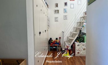 Departamento - Los Pinguinos