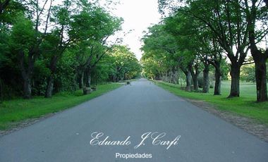 Departamento - Los Pinguinos