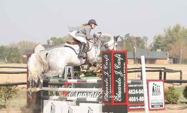 Departamento - Los Pinguinos