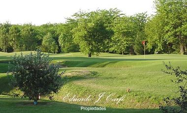 Departamento - Los Pinguinos