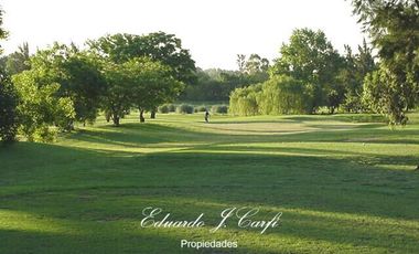 Departamento - Los Pinguinos