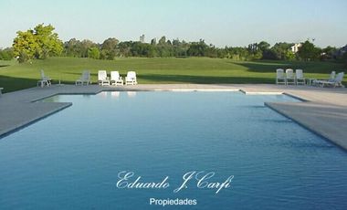 Departamento - Los Pinguinos