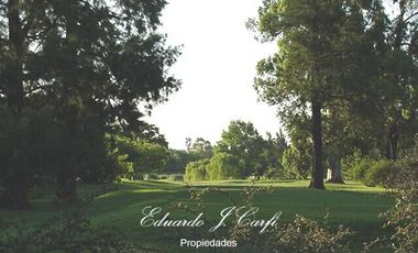 Departamento - Los Pinguinos