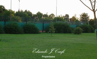 Departamento - Los Pinguinos