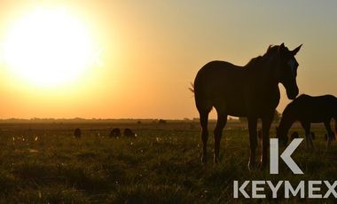 VENTA TERRENO /LOTE EL MIRADOR SPA TERMAL