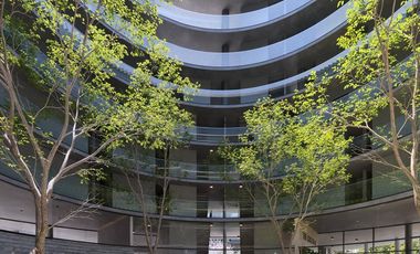 Departamento - Buenavista