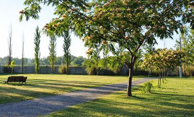 Lote 184 en venta  Las Casuarinas, Ibarlucea | Barrio cerrado excelente ubicación