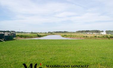 Lote venta La Providencia