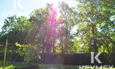 VENTA CASA / CASA QUINTA VILLA ELISA