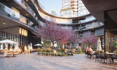 Departamento - Buenavista