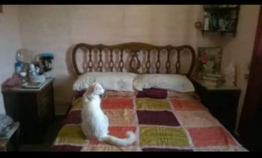 DUPLEX EN VENTA EN BARRIO LOS ÁLAMOS-PLOTTIER