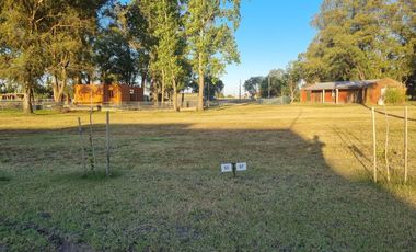 Terreno VENTA Fincas Joven SAN VICENTE