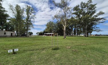 Terreno VENTA Fincas Joven SAN VICENTE