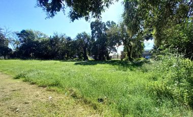 Terrenos ESCRITURADOS en La Rana Alvear - Excelente Oportunidad