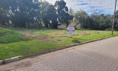 Terrenos ESCRITURADOS en La Rana Alvear - Excelente Oportunidad