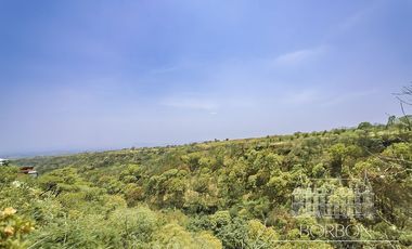 LOFT 1  EN EL BOSQUE