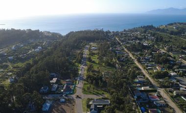 BOSQUES DE QUILEN, COSTA QUILEN